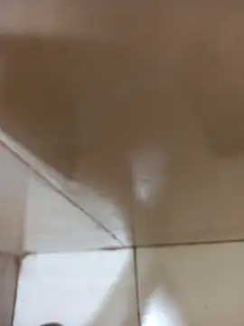 vboli08 online show from 10/24/25, 11:12