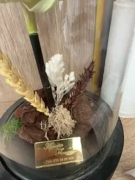 Snapshot of Mrdim26 chatting on 10/11/25, 12:58 Mrdim26 online show from 10/11/25, 12:58