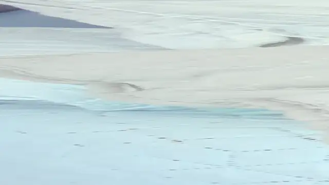 crystal sm online show from 09/18/25, 03:08