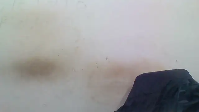 Snapshot of sasatimido chatting on 12/03/25, 01:31 sasatimido online show from 12/03/25, 01:31