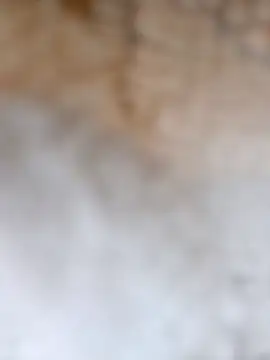 Snapshot of Radsj@xh chatting on 12/17/25, 07:42 Radsjxh online show from 12/17/25, 07:42