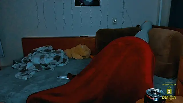 Snapshot of zaebali_ chatting on 10/12/25, 04:17 zaebali  online show from 10/12/25, 04:17