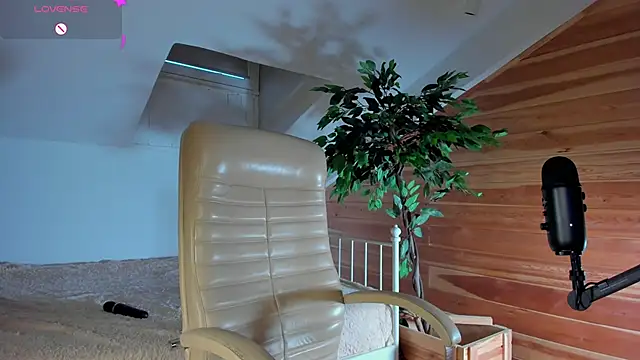 AuroraShoww online show from 11/20/25, 12:49