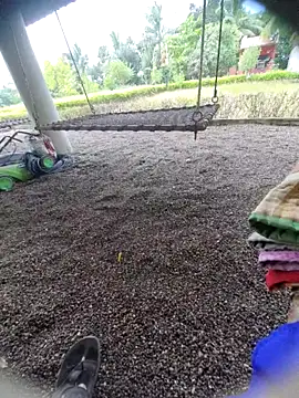 Snapshot of Desi_Horny_Boys chatting on 09/15/25, 06:13 Desi Horny Boys online show from 09/15/25, 06:13