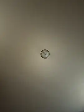 Snapshot of curis4270panda chatting on 10/20/25, 08:42 curis4270panda online show from 10/20/25, 08:42