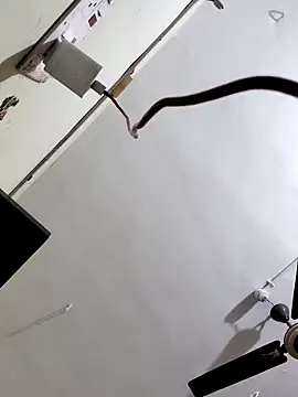 Snapshot of papukurty chatting on 10/07/25, 03:14 papukurty online show from 10/07/25, 03:14