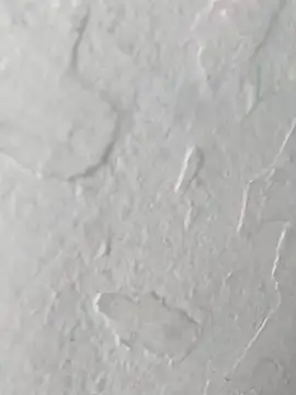 Snapshot of yaraa49 chatting on 10/23/25, 05:07 yaraa49 online show from 10/23/25, 05:07