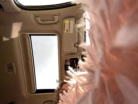 Snapshot of GirlSquirt chatting on 09/30/25, 06:13 GirlSquirt online show from 09/30/25, 06:13