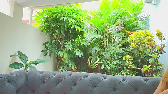 sharon greey online show from 11/21/25, 12:48