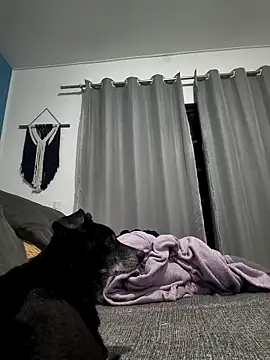 mikeara90 online show from 10/22/25, 10:31