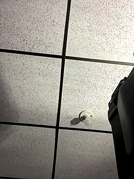 MR MUSCLE online show from 09/19/25, 11:22