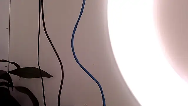 Snapshot of saara_johnson496 chatting on 09/24/25, 03:15 saara johnson496 online show from 09/24/25, 03:15