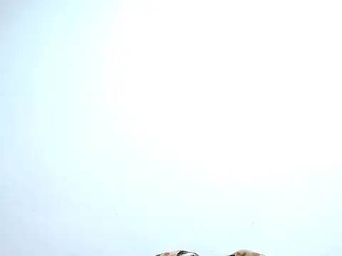 Snapshot of saara_johnson496 chatting on 10/30/25, 11:38 saara johnson496 online show from 10/30/25, 11:38