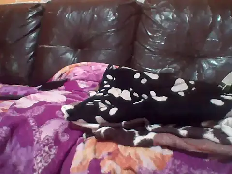 Snapshot of PREDADOR76 chatting on 10/10/25, 04:39 PREDADOR76 online show from 10/10/25, 04:39