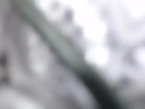 ble wilos online show from 11/23/25, 11:59