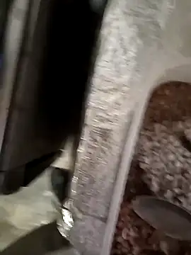 hotbbhot online show from 10/14/25, 04:52