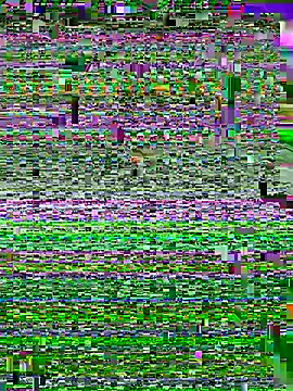 ASSERINAAA online show from 07/10/26, 06:28
