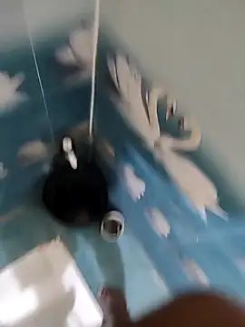 Snapshot of Telugu_person12 chatting on 11/12/25, 04:51 Telugu person12 online show from 11/12/25, 04:51