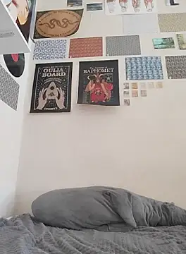 Snapshot of _arigins_ chatting on 10/11/25, 10:14  arigins  online show from 10/11/25, 10:14