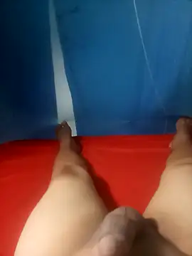 Snapshot of cora08 chatting on 11/04/25, 09:47 cora08 online show from 11/04/25, 09:47