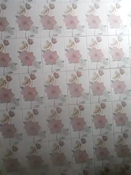 Snapshot of bhaijaan66 chatting on 11/25/25, 07:03 bhaijaan66 online show from 11/25/25, 07:03