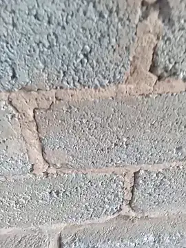 KingBonga online show from 10/17/25, 04:37