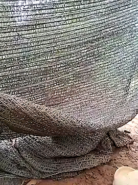 Tina 2pp online show from 11/05/25, 11:27