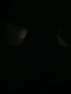 Archie-Davis online show from 10/31/25, 07:26