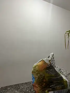 megan bigboobs  online show from 09/14/25, 07:24