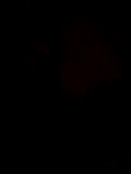 Snapshot of Ori-Lynk chatting on 12/01/25, 06:29 Ori-Lynk online show from 12/01/25, 06:29