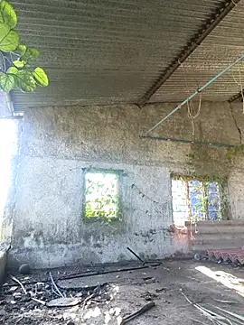 Sunny cute love online show from 10/06/25, 03:04