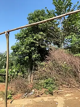 ThiHa003 online show from 11/27/25, 03:52