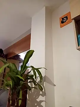 Paula Alameda online show from 09/19/25, 11:33