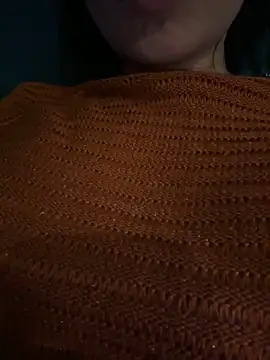 Snapshot of Link_lee chatting on 11/27/25, 01:35 Link lee online show from 11/27/25, 01:35