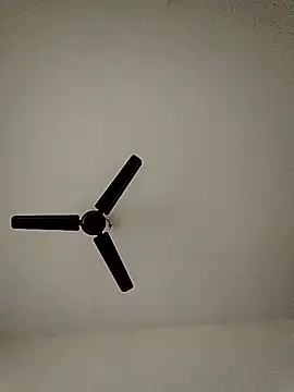 Snapshot of shreyas79 chatting on 10/26/25, 06:19 shreyas79 online show from 10/26/25, 06:19