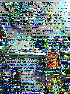 ISHANI-SINGH online show from 11/29/25, 03:37