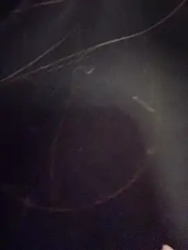 Natalia vidal online show from 11/06/25, 01:12