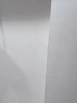 Snapshot of sneha_bebo chatting on 11/01/25, 03:47 sneha bebo online show from 11/01/25, 03:47