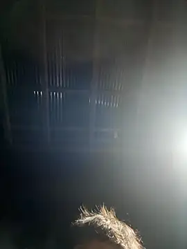 usu0130 online show from 10/16/25, 02:07