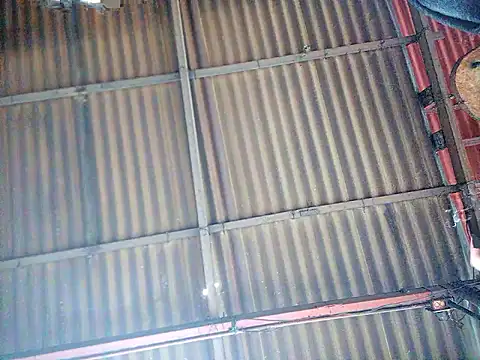 Fernandar2025 online show from 05/26/26, 04:36