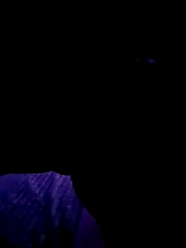 Snapshot of Thoma9034 chatting on 10/23/25, 03:17 Thoma9034 online show from 10/23/25, 03:17