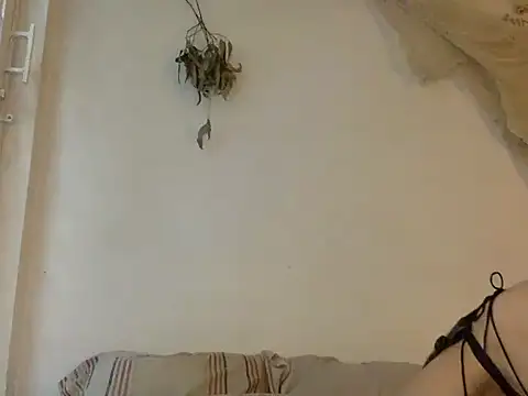 haley diosita online show from 06/25/26, 10:03