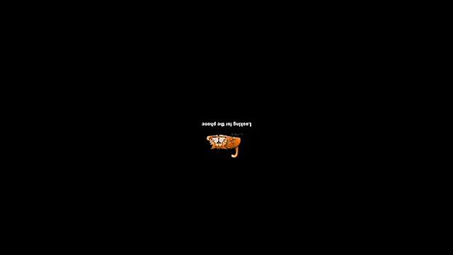 pecsblack888 online show from 02/12/26, 07:42