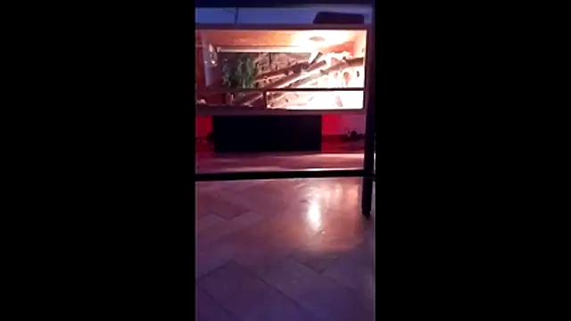 M6I6K6Exh online show from 12/04/25, 07:28