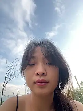 Phayphay77 online show from 11/06/25, 12:00