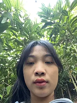 Phayphay77 online show from 11/25/25, 01:05