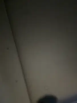 Snapshot of ALANNFERRER chatting on 11/22/25, 10:14 ALANNFERRER online show from 11/22/25, 10:14