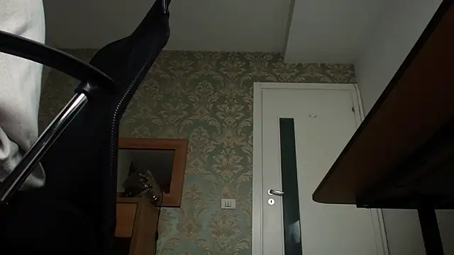 Snapshot of FelixStarkk chatting on 11/07/25, 05:29 FelixStarkk online show from 11/07/25, 05:29