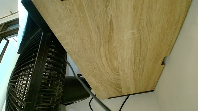 Cinthiabaker online show from 11/13/25, 11:31