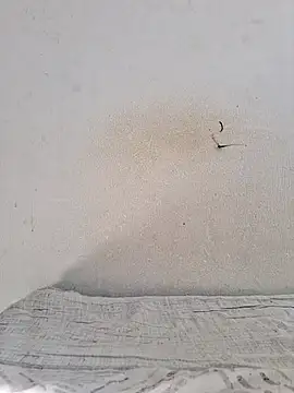 Snapshot of jujuhpimenta chatting on 11/12/25, 11:21 jujuhpimenta online show from 11/12/25, 11:21